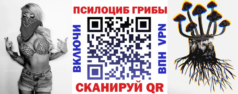 Галлюциногенные грибы прущие грибы  hydra   Губкин 
